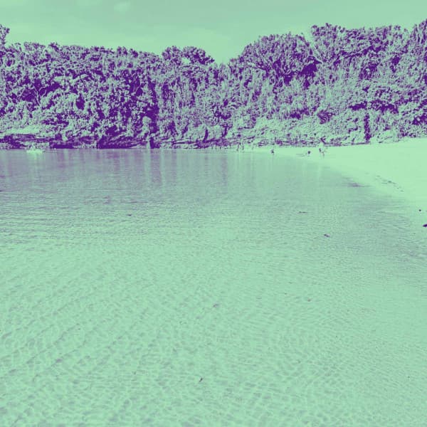 Incredible Background Music for Echelon Memories - Lo-fi Pop Sounds