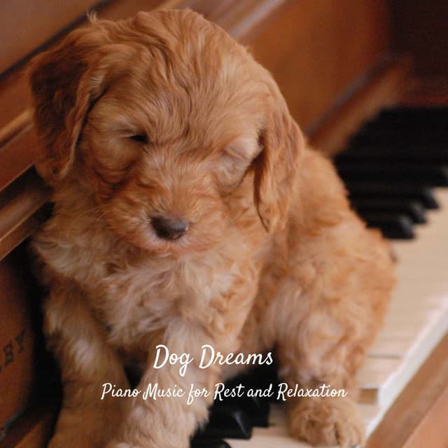Dog Dreams: Piano Music for Rest and Relaxation - Piano Music To Fall Asleep Faster
