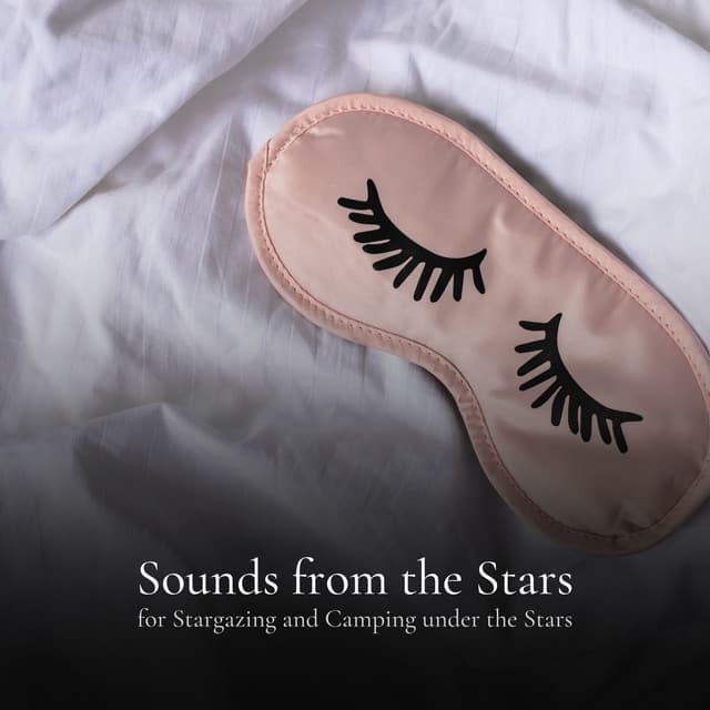 Pillow's Aria for Resting Eyes and Visiting Dreamland - The Sleep Principle