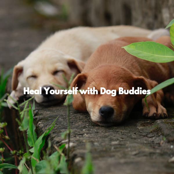 Heal Yourself with Dog Buddies - Jazz Lounge Bar Radio