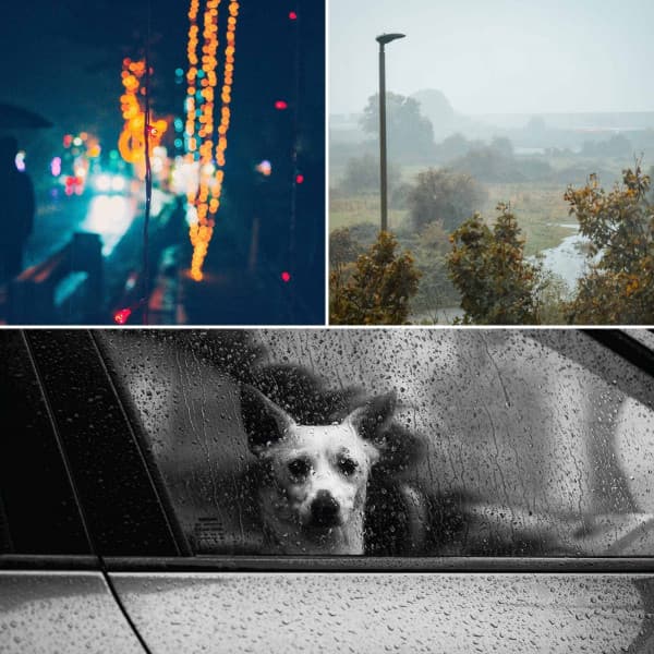 Backdrop for Spring Storms - Hypnotic Trumpet, Electric Piano, Alto Sax and Soprano Sax - Luxury Lounge Cafe Allstars