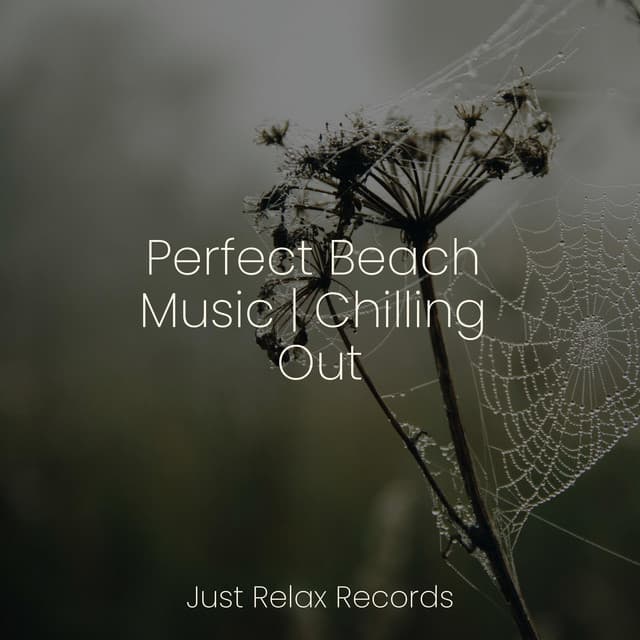 Perfect Beach Music | Chilling Out - Deep Sleep Meditation