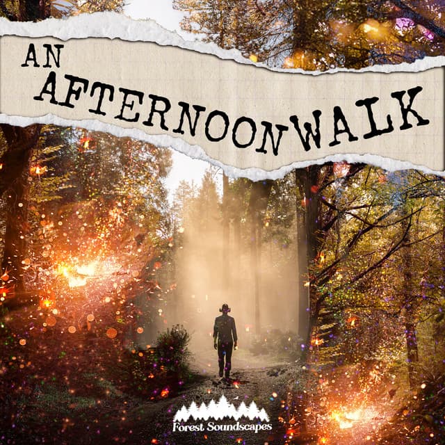 An Afternoon Walk - Forest Soundscapes