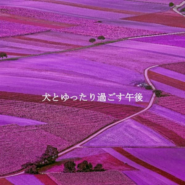 犬とゆったり過ごす午後 - Calma Jazz para Dormir