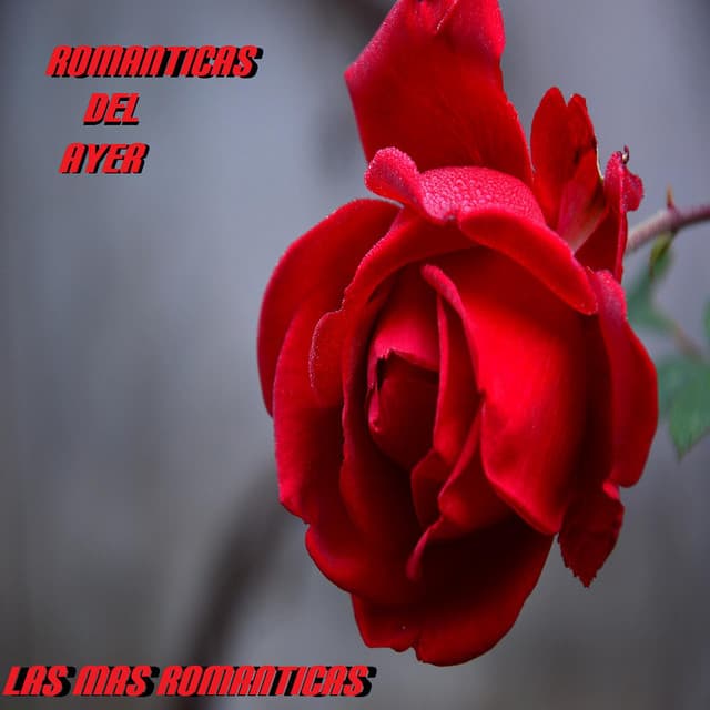 Las Mas Románticas