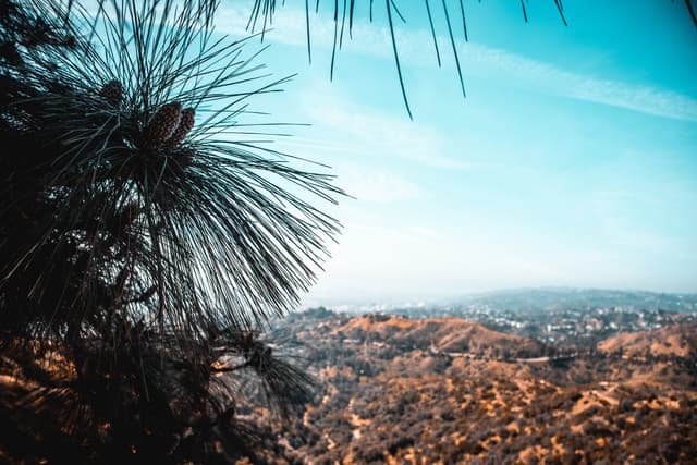 Hit Me With A Rhythm | Stress Relief Music, Sounds - Pro Sounds of Nature