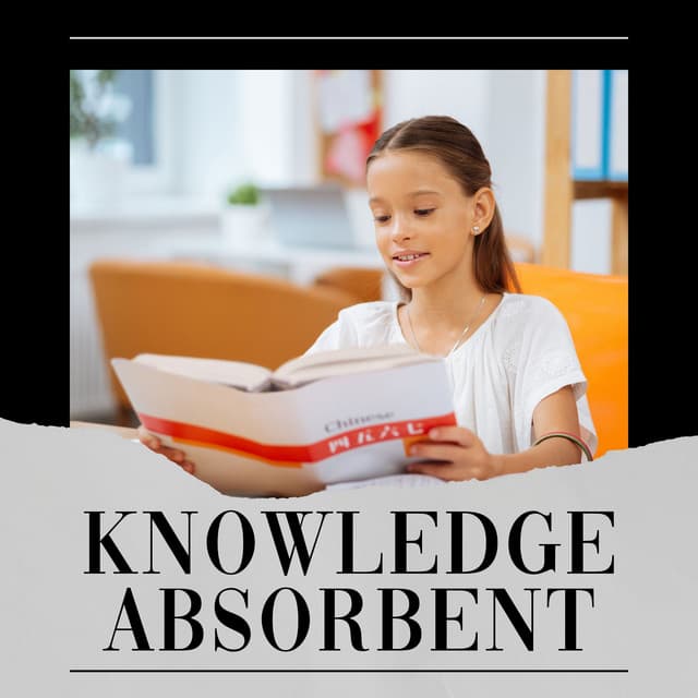 Knowledge Absorbent - Baby Relax Channel