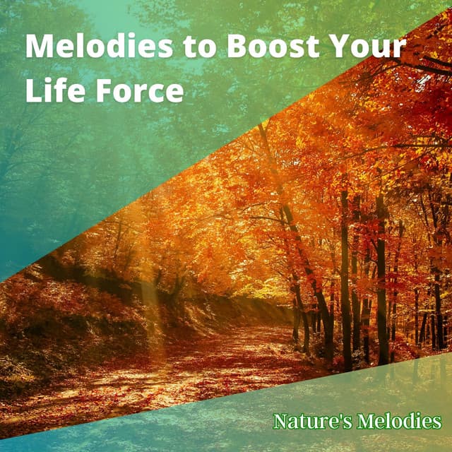 Melodies to Boost Your Life Force - Nature's Melodies