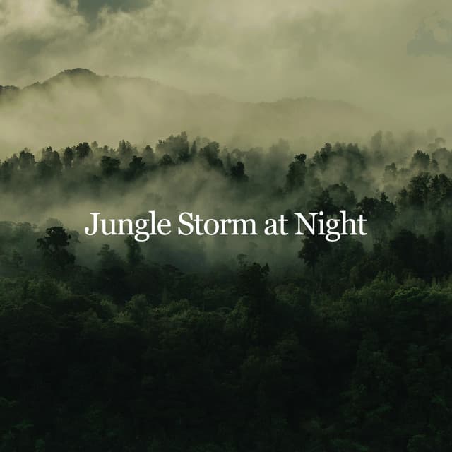 Jungle Storm at Night - Mother Nature Sound FX