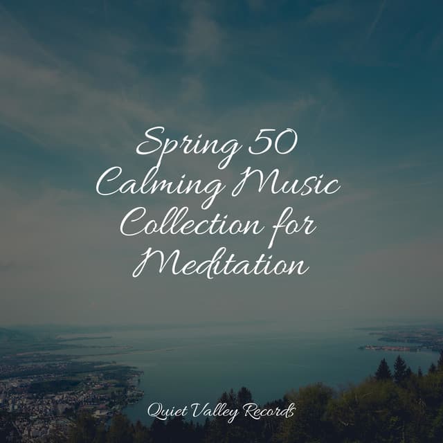 Spring 50 Calming Music Collection for Meditation - Lullabies for Deep Meditation