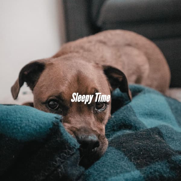 Sleepy Time - Cafe BGM