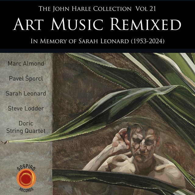 The John Harle Collection, Vol. 21: Art Music Remixed - John Harle