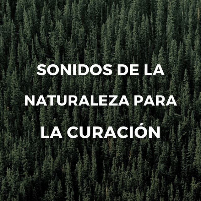 Sonidos De La Naturaleza Para La Curación - El proyecto de la naturaleza