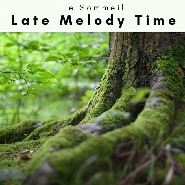 1 Late Melody Time - Le Sommeil