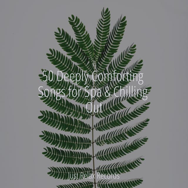 50 Deeply Comforting Songs for Spa & Chilling Out - Deep Sleep Meditation