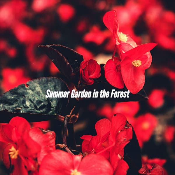 Summer Garden in the Forest - Classy Cafe Jazz Music