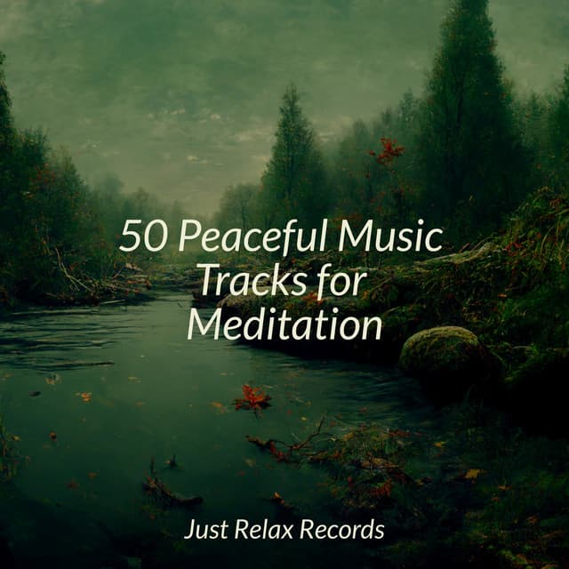 50 Peaceful Music Tracks for Meditation - Soothing Sounds
