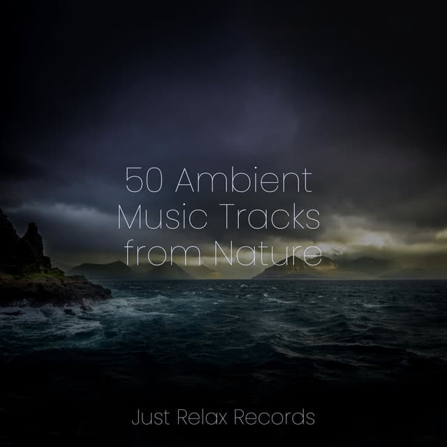 50 Ambient Music Tracks from Nature - Meditar Profundamente