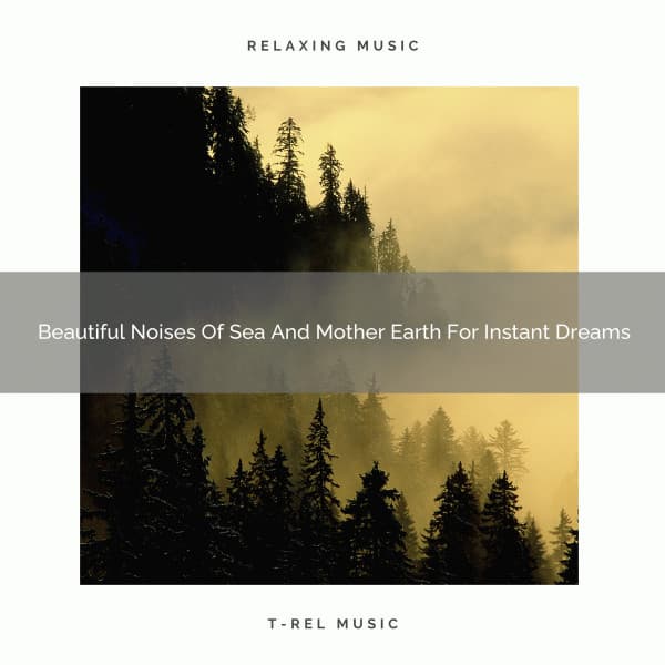 Beautiful Noises Of Sea And Mother Earth For Instant Dreams - Sleep Dimension