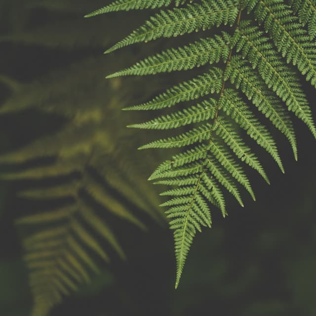 Affirming Ambient Sounds | Deep Sleep - Study Music