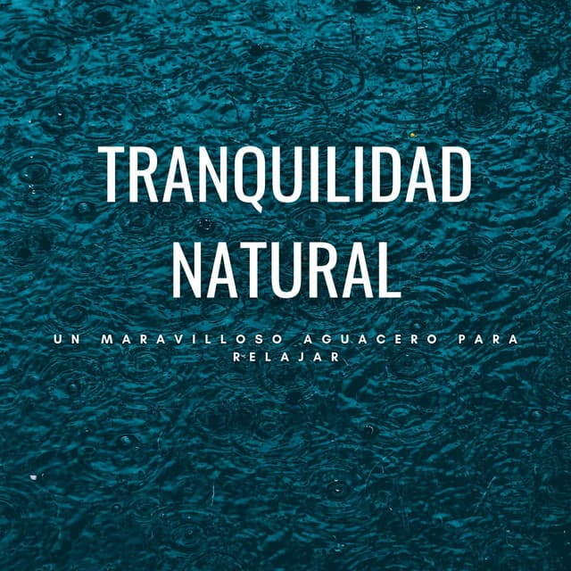 Tranquilidad Natural: Un Maravilloso Aguacero Para Relajar - Estado de ánimo de lluvia