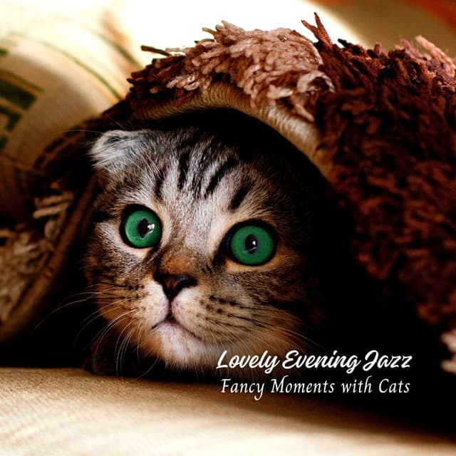 Lovely Evening Jazz: Fancy Moments with Cats - Jazz Instrumentals