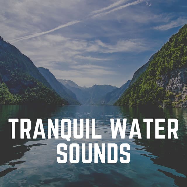 Tranquil Water Sounds - The Water Sleepers