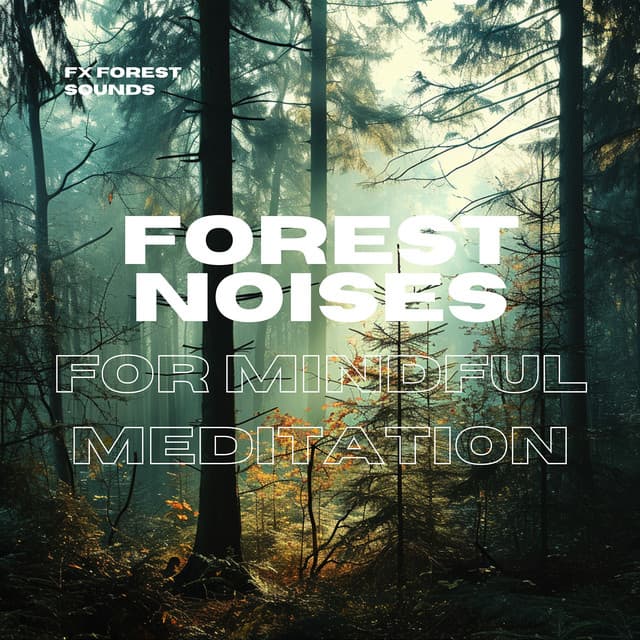 Forest Noises for Mindful Meditation - FX Forest Sounds