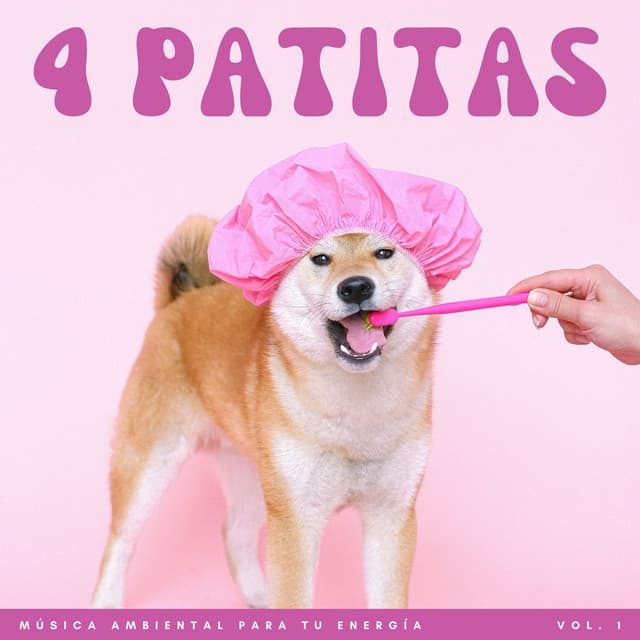 4 Patitas: Música Ambiental Para Tu Energía Vol. 1 - Estado de distracción