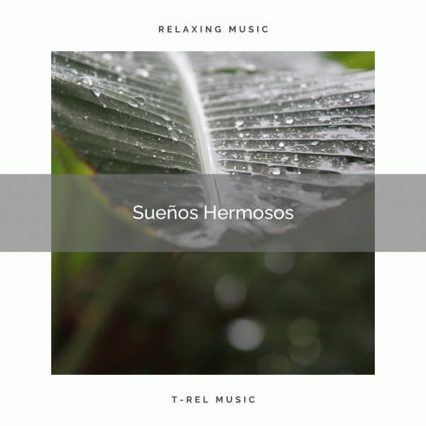 1 Sueños Hermosos - Música ambiental relajante