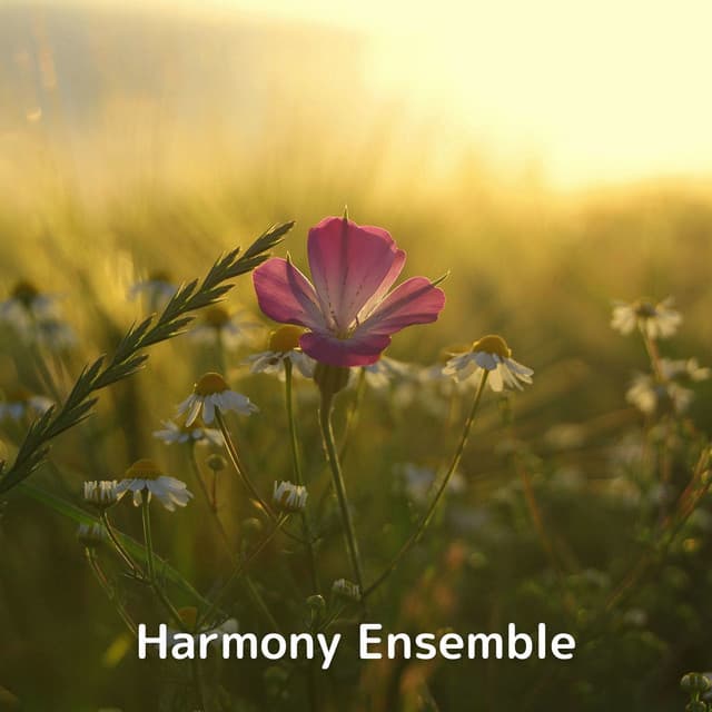 Harmony Ensemble - Soulful Symphony