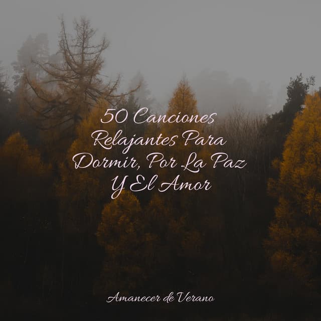 50 Canciones Relajantes Para Dormir, Por La Paz Y El Amor - Rumbas de España