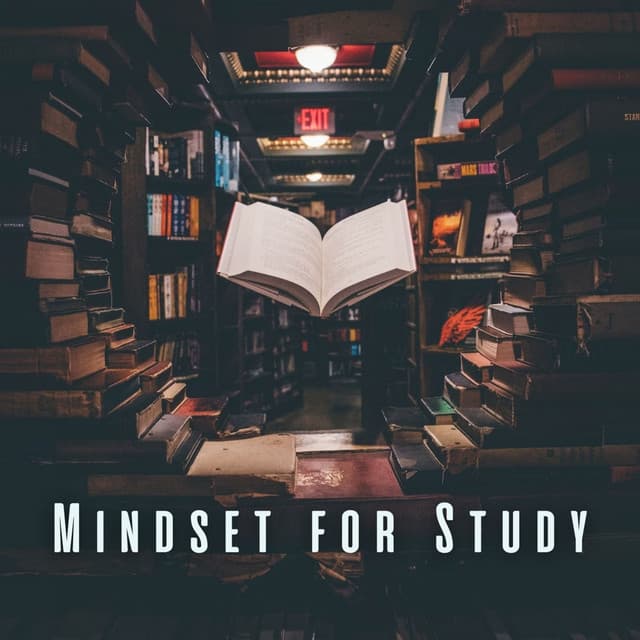 Mindset for Study: Meditative Sounds for Efficient Learning - Dr. Karma & Meditation