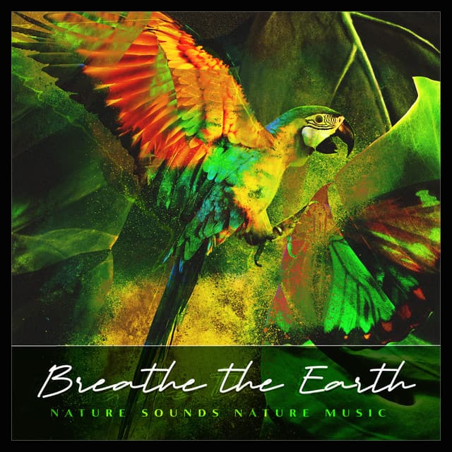Breathe the Earth - Nature Sounds Nature Music