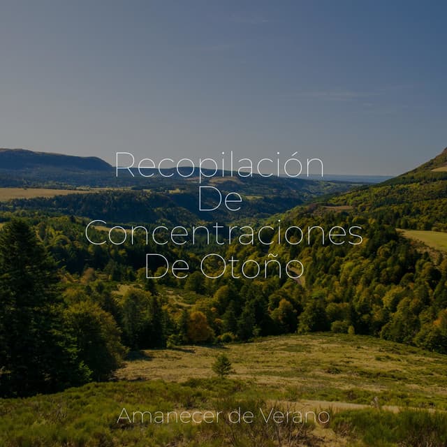 Recopilación De Concentraciones De Otoño - Study Music & Sounds
