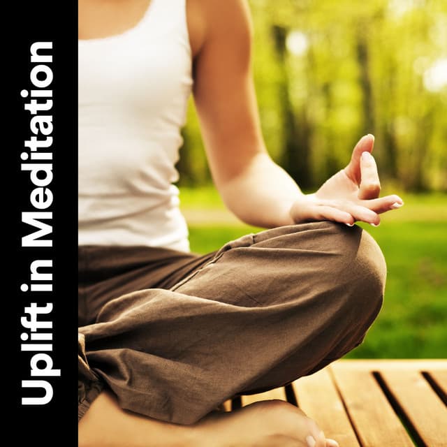 Uplift in Meditation - Radio Zen Music