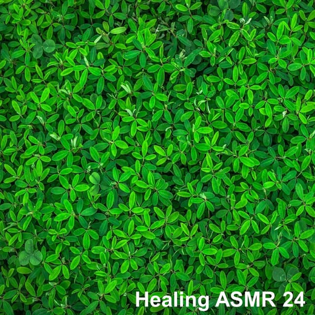Healing ASMR 24 - Healing White Noise for Relaxation, Sleep, Mental and Physical Stability - Healing ASMR