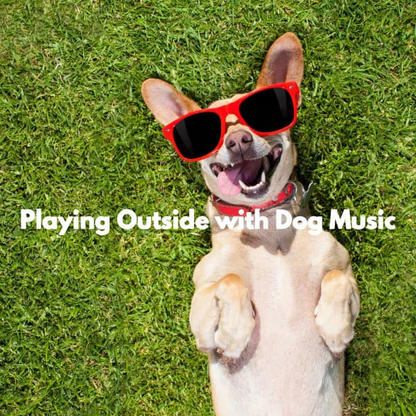Playing Outside with Dog Music - Elegante Música para Restaurantes