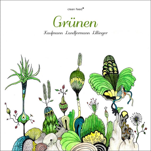 Grünen - Achim Kaufmann