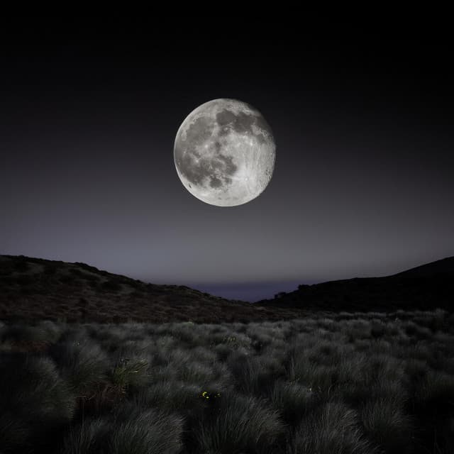 Susurros De La Noche: Sonidos Reconfortantes Para Dormir - Dhyana Uno