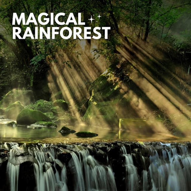 Magical Rainforest - Soft Soundscapes