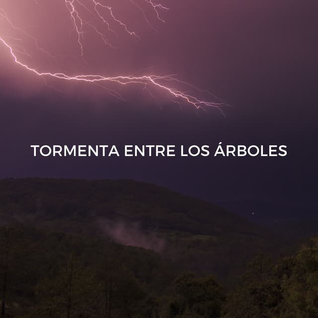 Tormenta Entre Los Árboles - Sonidos de tormenta de lluvia