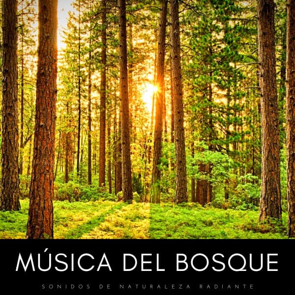 Música para estudiar duro