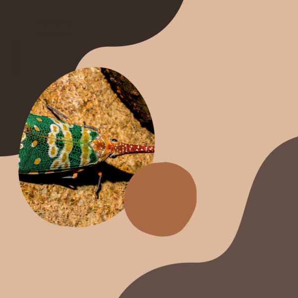 Personal Wellness - Piano Bar Lounge