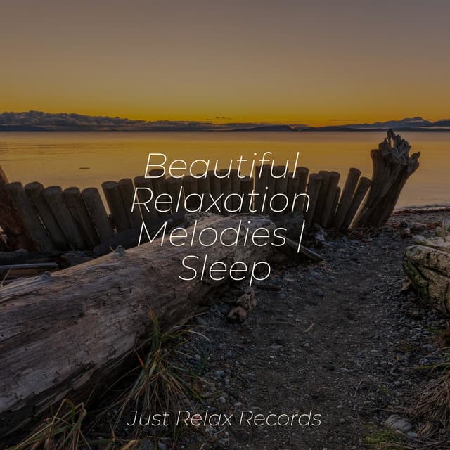 Beautiful Relaxation Melodies | Sleep - Musica de Relajación Academy