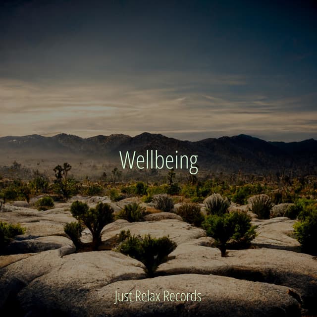 Wellbeing - Mantra para Dormir