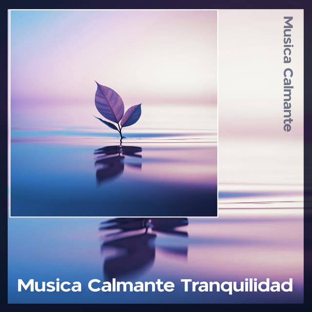 Musica Calmante Tranquilidad - Música Calmante