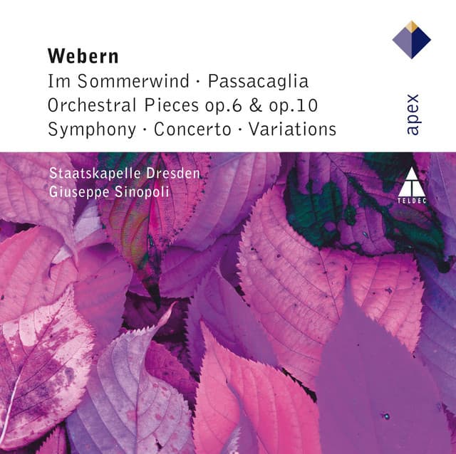 Webern : Im Sommerwind, Orchestral Works & Variations - Anton Webern