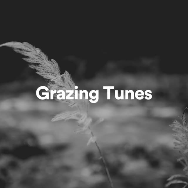 Grazing Tunes - White Noise Android
