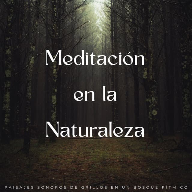 Meditación En La Naturaleza: Paisajes Sonoros De Grillos En Un Bosque Rítmico - Resplandor de la naturaleza